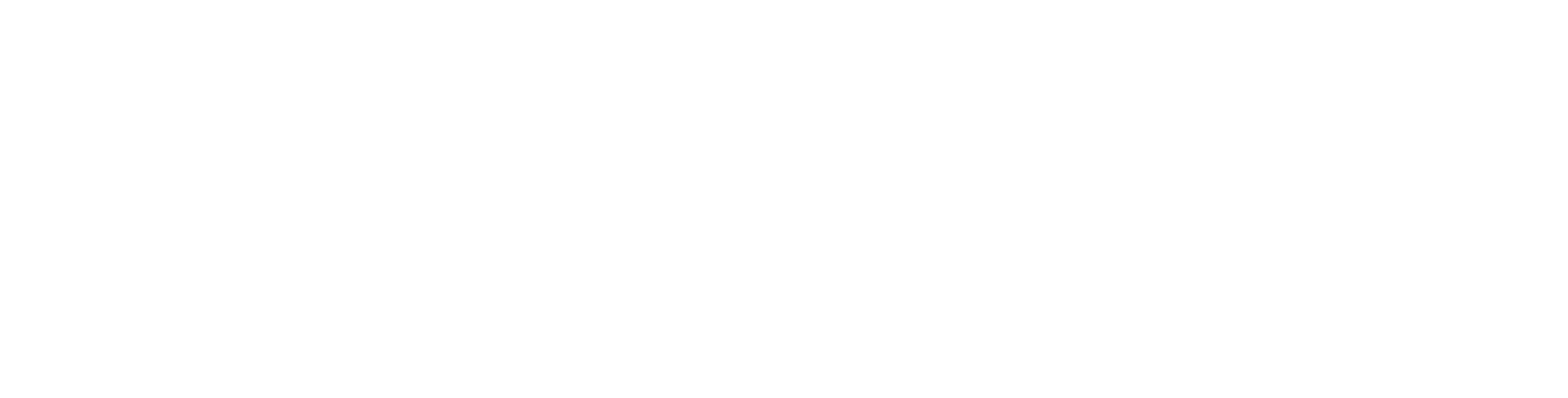 다낭신 연구회